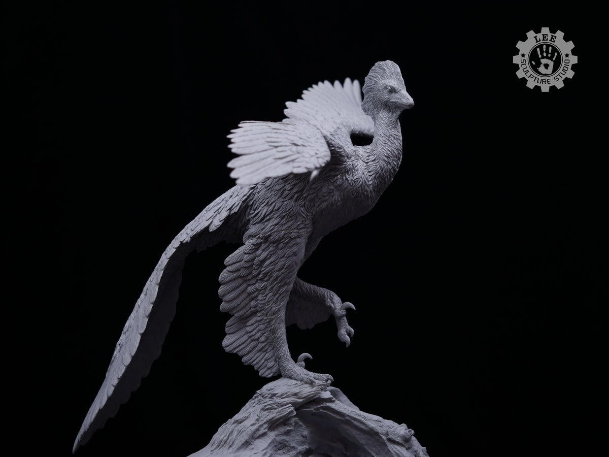LEE Sculpture Studio 1/2 Scale Anchiornis huxleyi Model