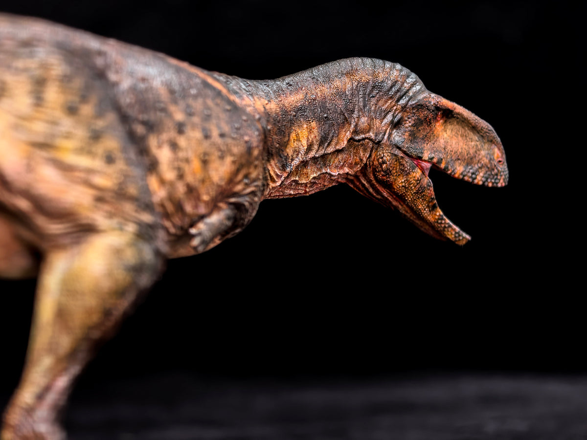 Anningpale 1/35 Scale Abelisaurus comahuensis Model