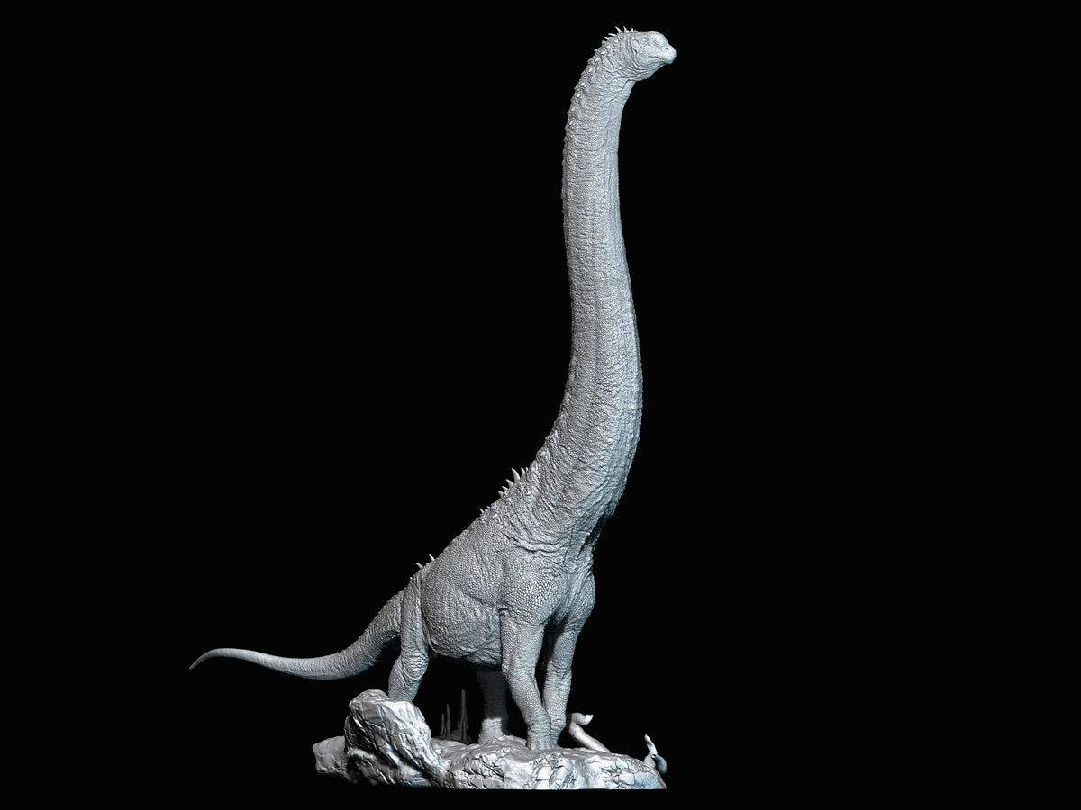 SHOWANNA 1/35 Scale Sauroposeidon Model