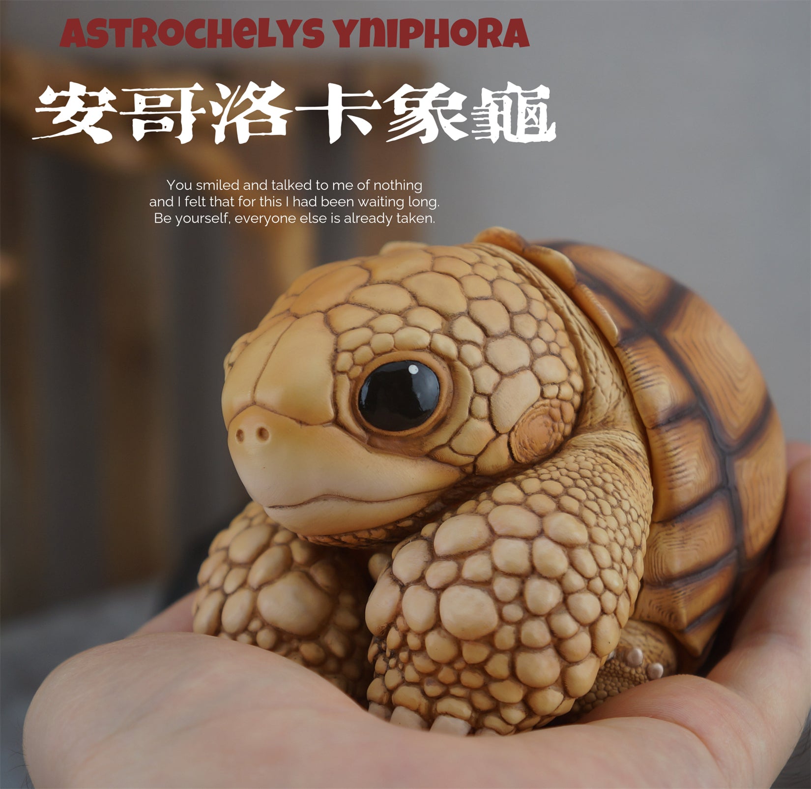 Common Snapping Turtle‌ & Ploughshare Tortoise‌ Figure