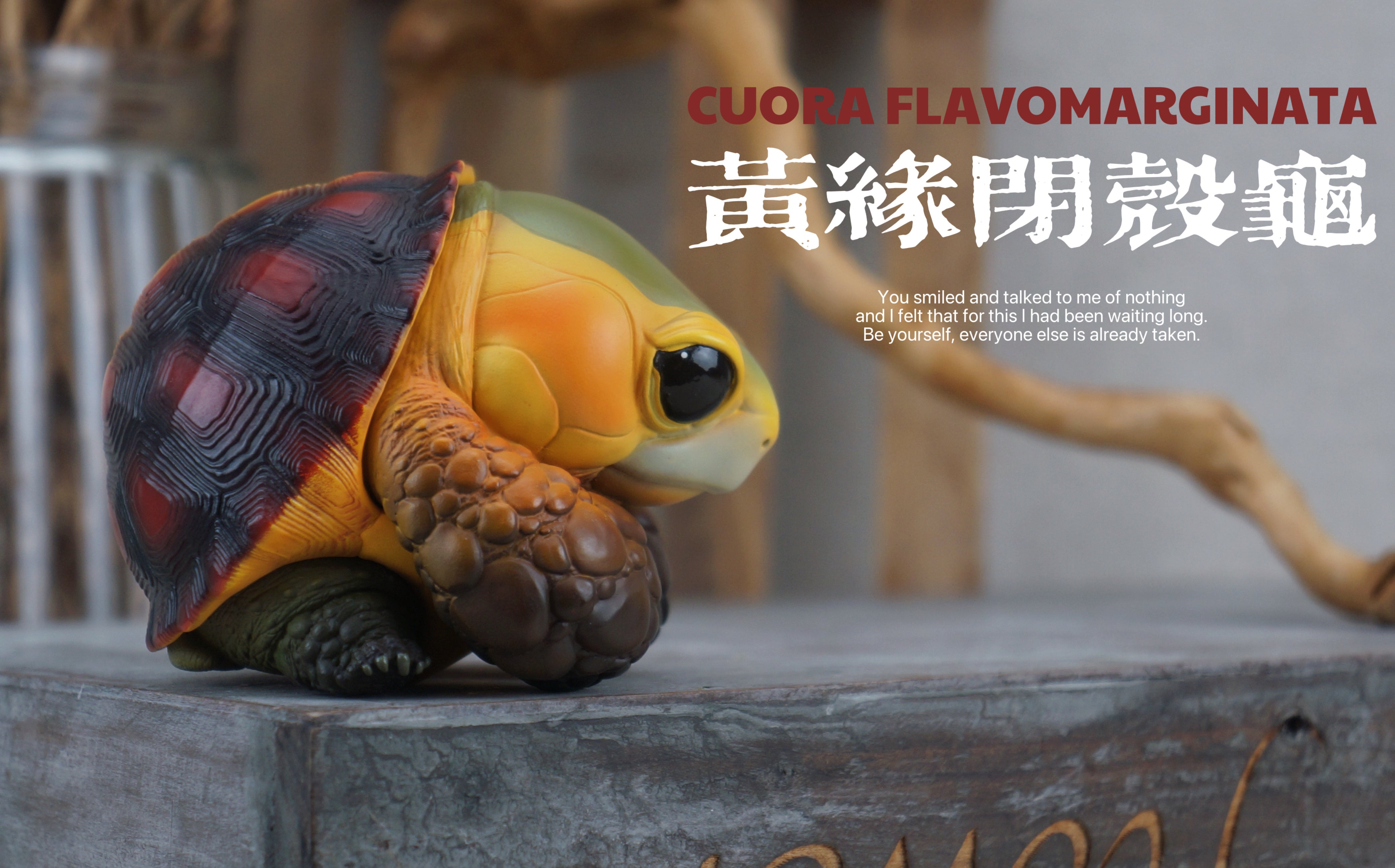 Turtle Model Pet Animal Figure