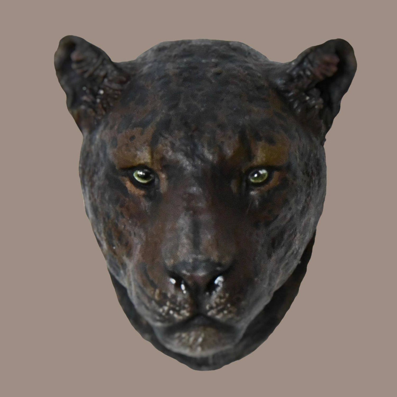 Schildkröten-Serie Tiermodell 