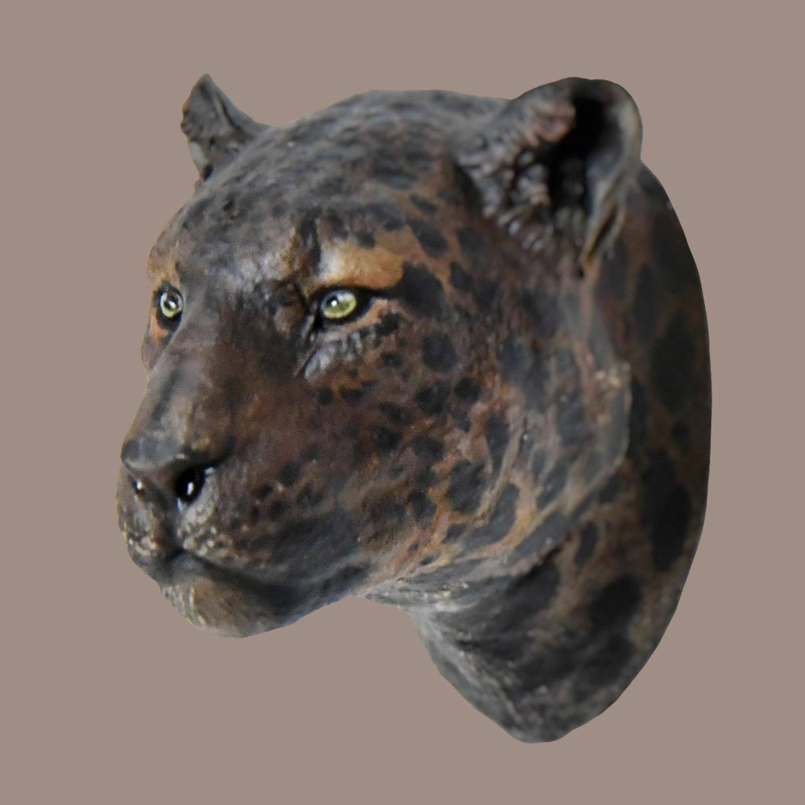 Schildkröten-Serie Tiermodell 