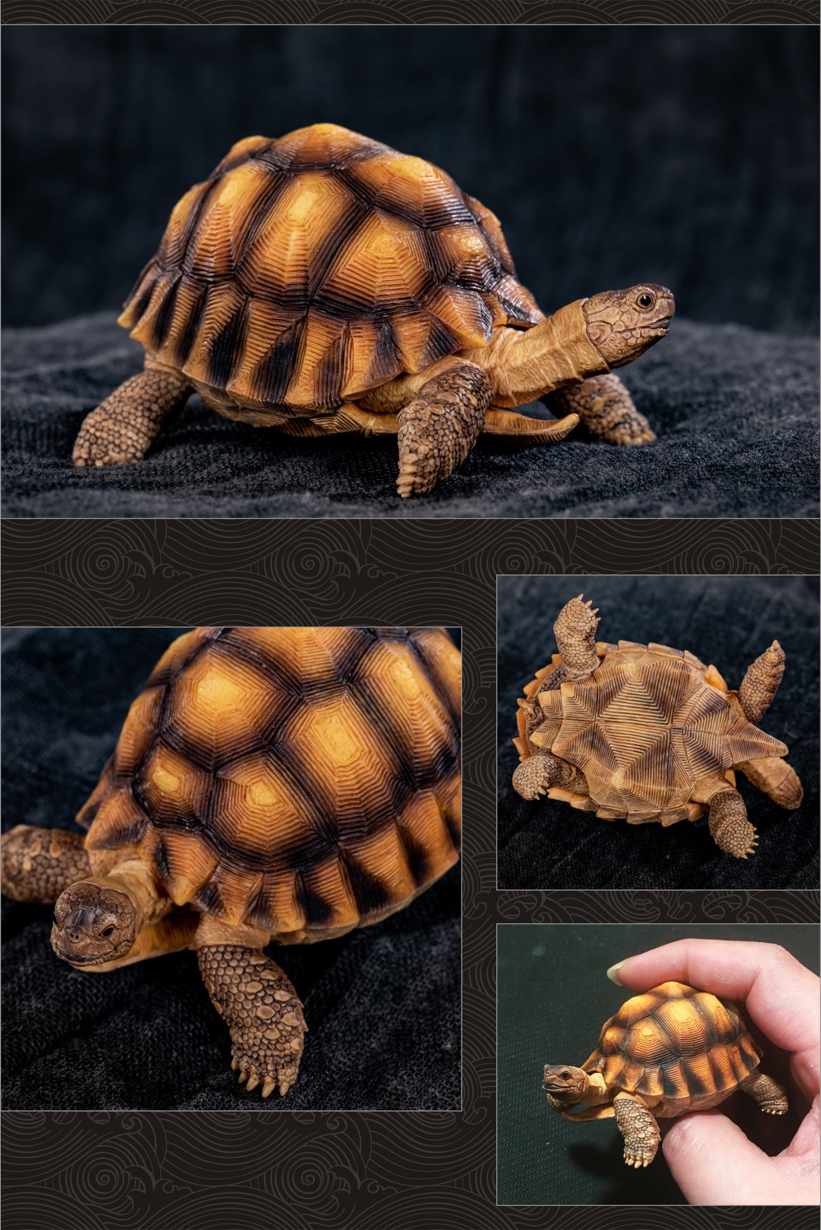 Turtle Model Series