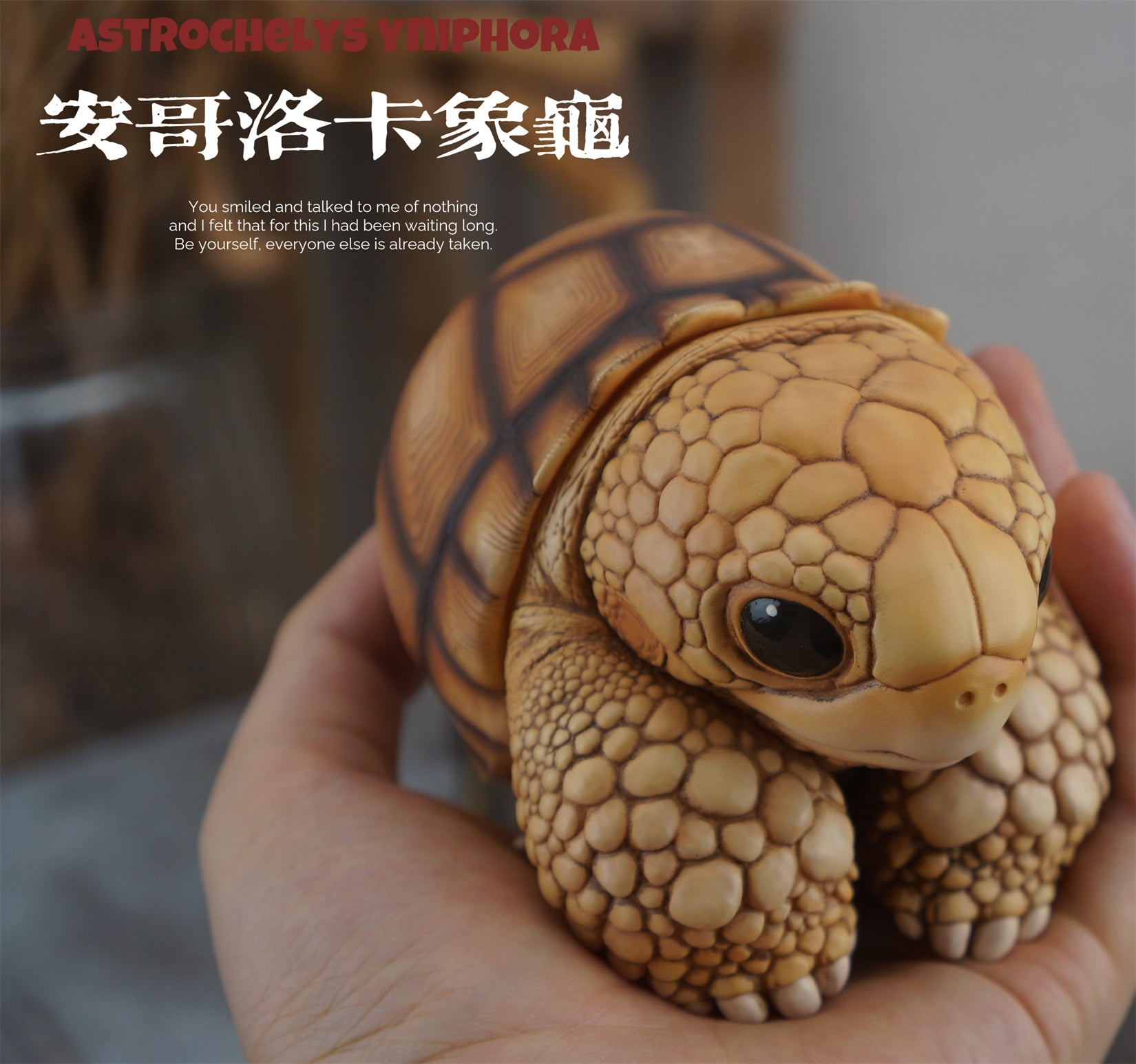 Common Snapping Turtle‌ & Ploughshare Tortoise‌ Figure