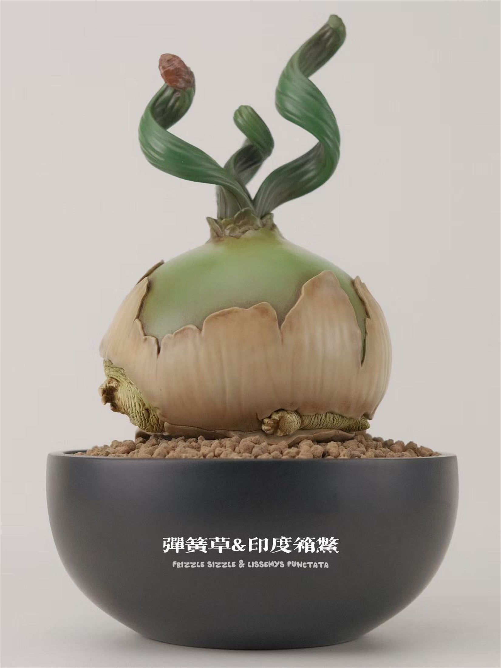 BOWUZHI Studio Caudiciform Monster World Model