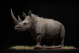 De CLAY Studio White rhinoceros Model