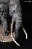 De CLAY Studio African Bush Elephant Scene Statue