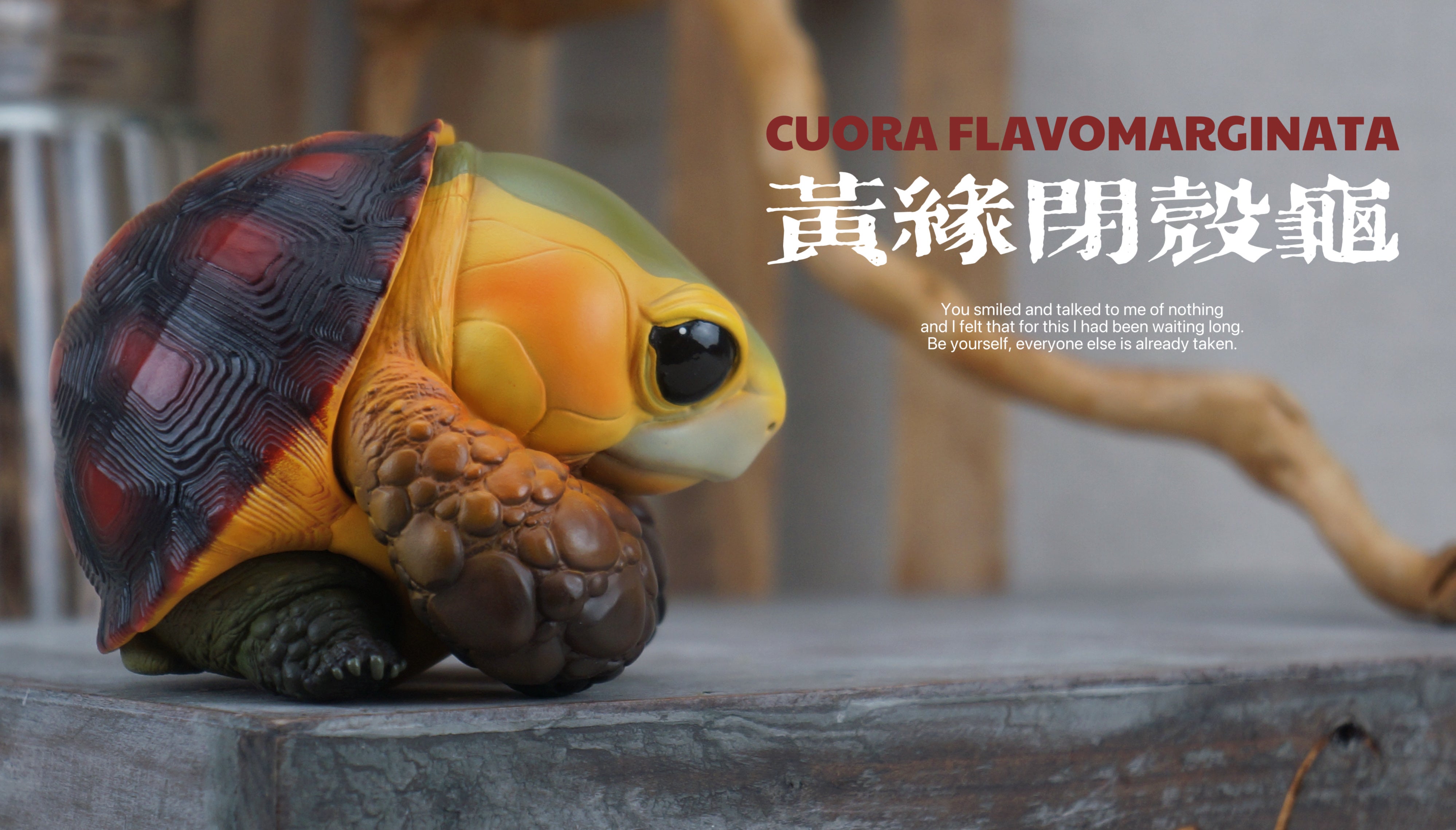 Turtle Model Pet Animal Figure