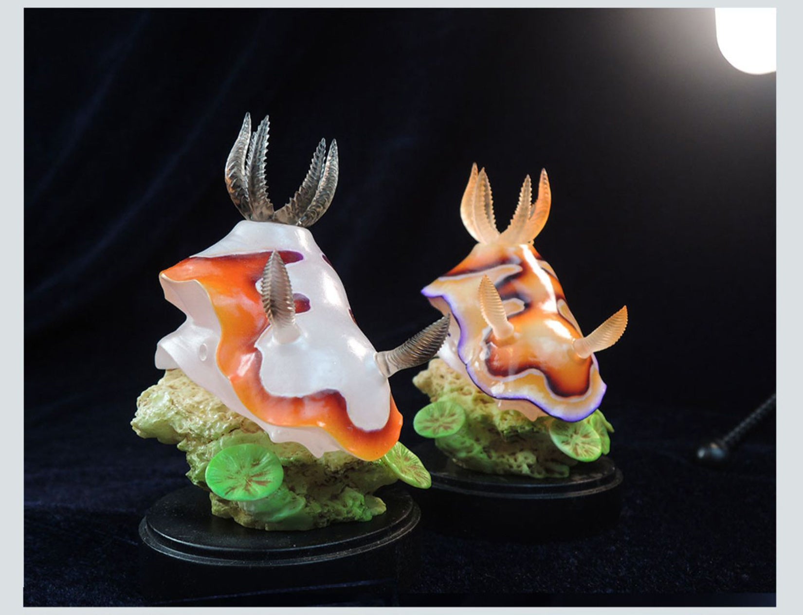 Sea Sprite 03 Series Model