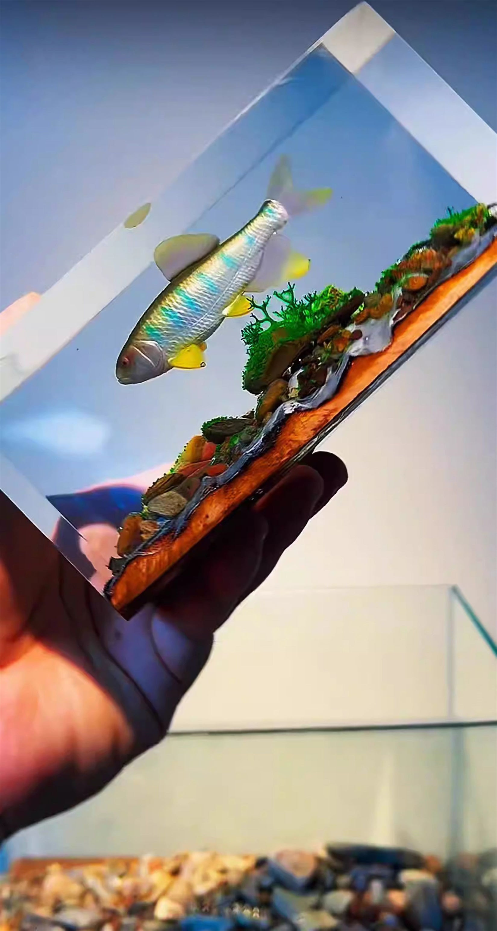 Ochetai Barbel Night Light Fish Figurine