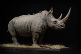 De CLAY Studio White rhinoceros Model