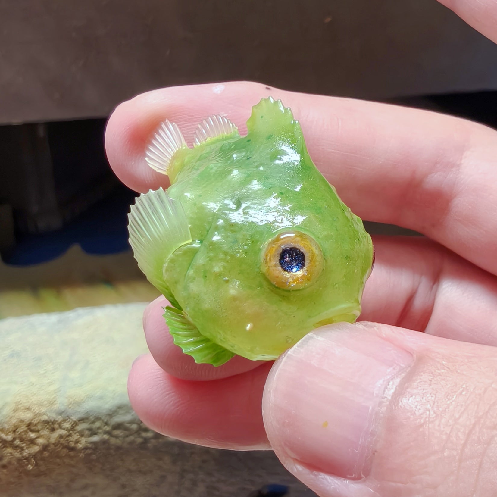 Schildkröten-Serie Tiermodell 