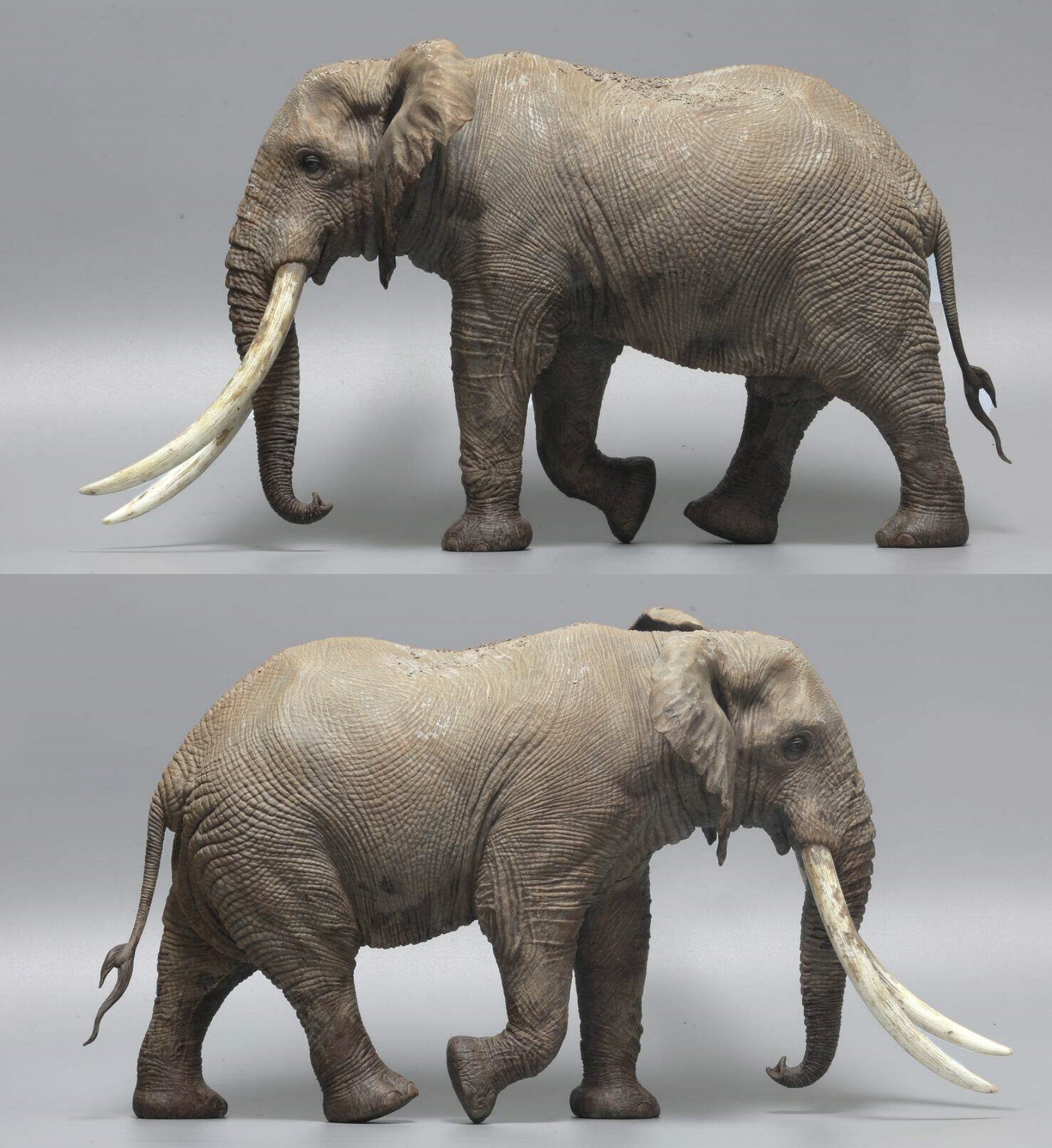 DAFEI African Elephant 2.0 Model