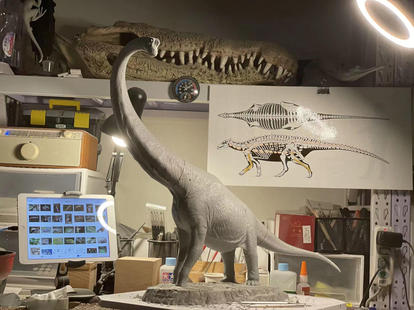 Tison Zhang 1/24 Scale Giraffatitan Scene Model