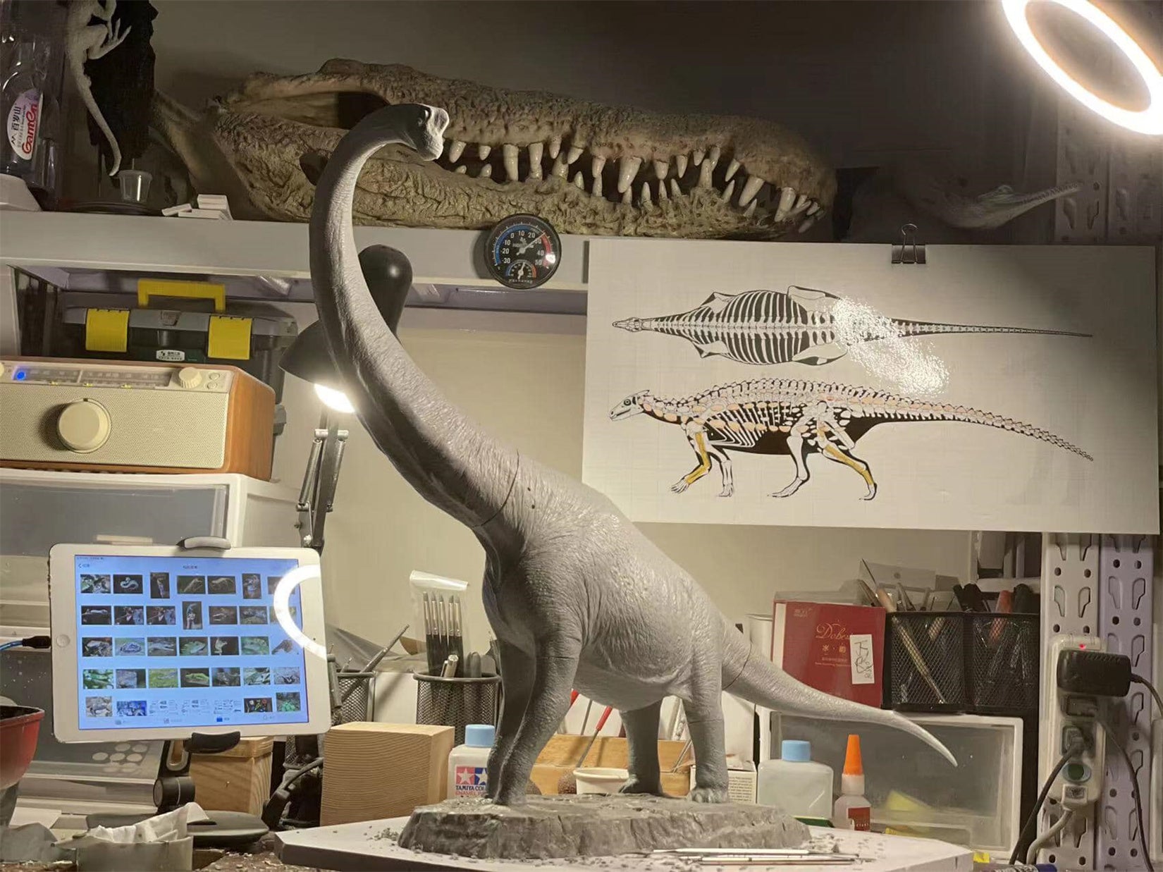 Tison Zhang 1/24 Scale Giraffatitan Scene Model