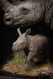 De CLAY Studio White rhinoceros Model
