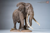 De CLAY Studio African Bush Elephant Scene Statue