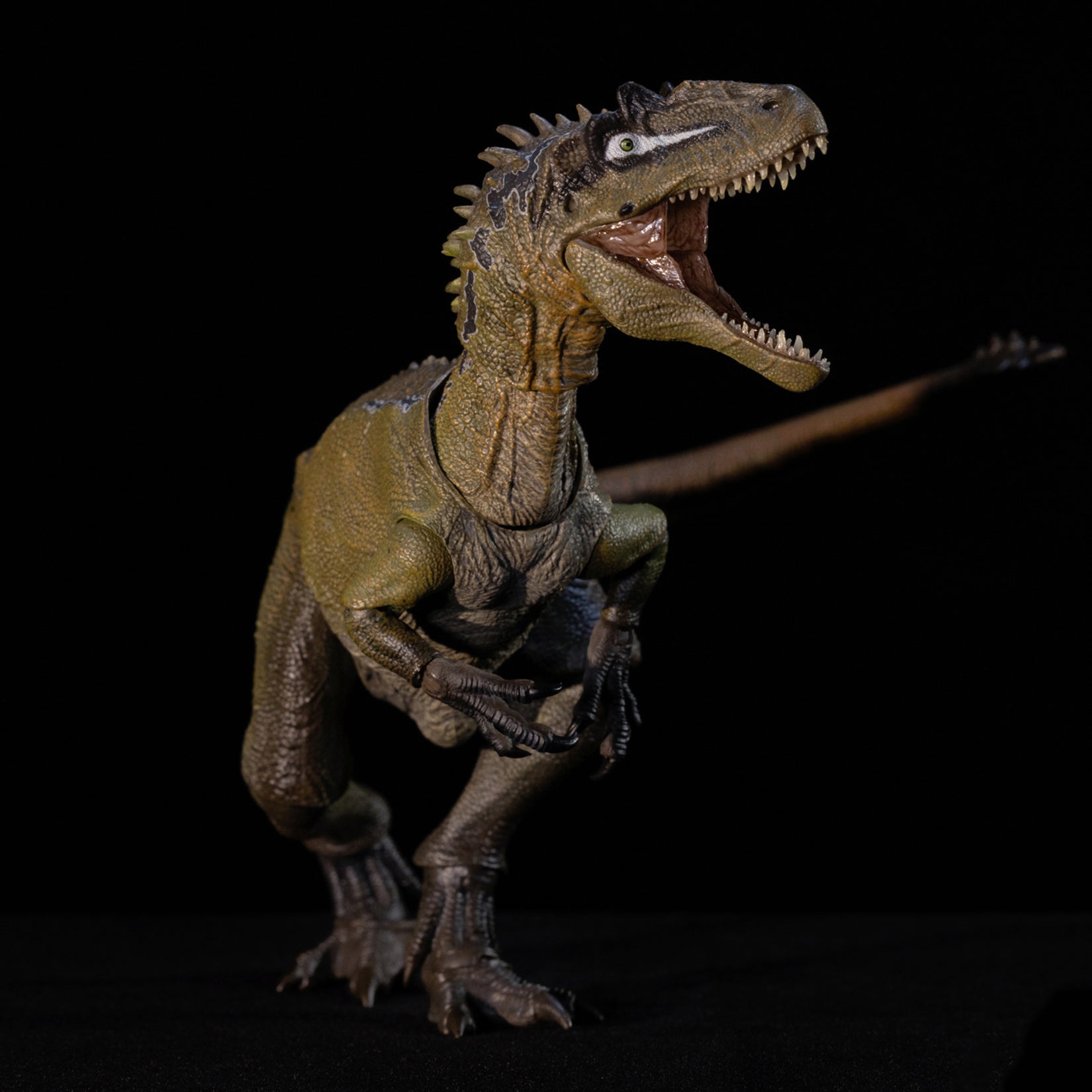Nanmu Studio Smart Series Allosaurus Action Figure