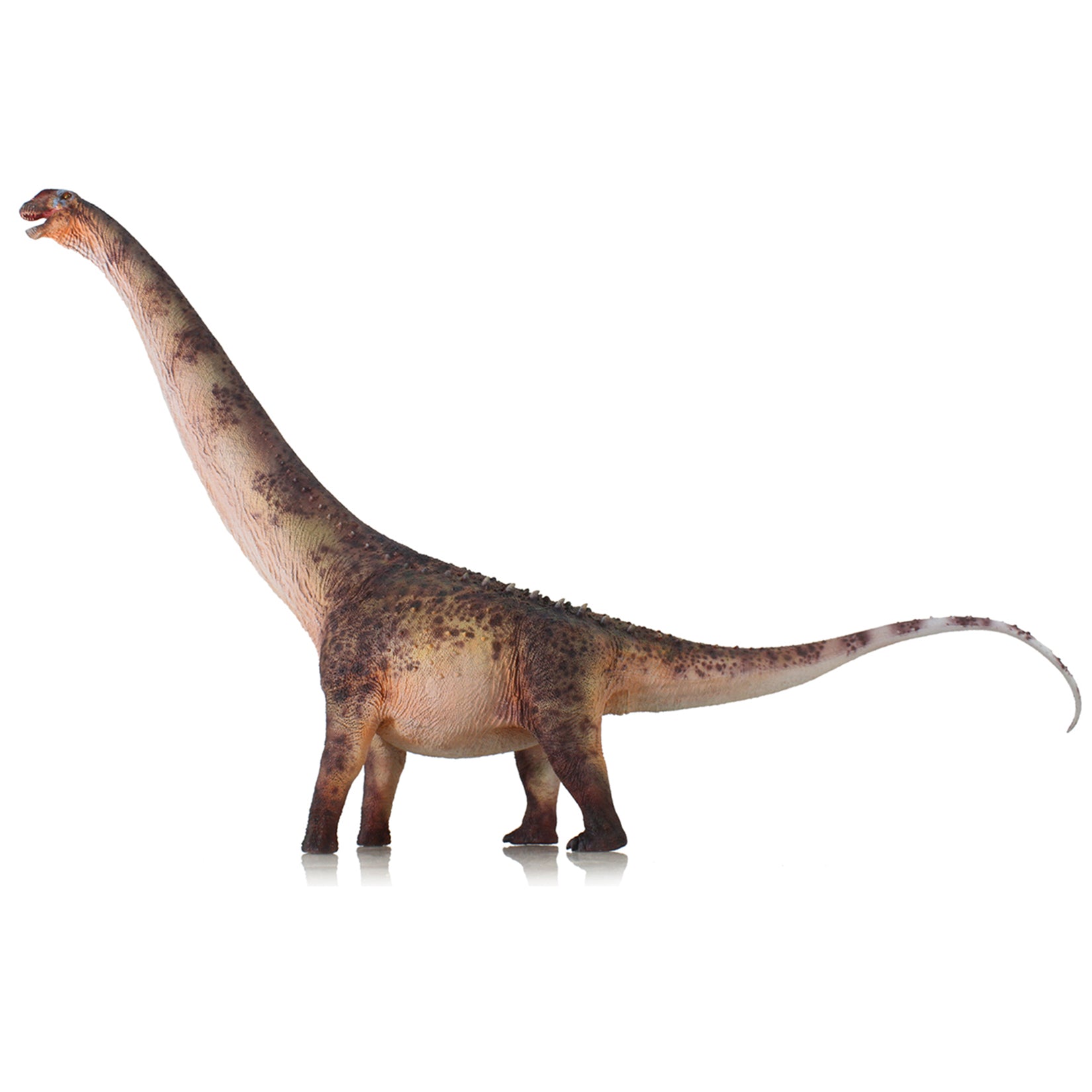 HAOLONGGOOD 1:35 Scale Argentinosaurus Model to Réunion