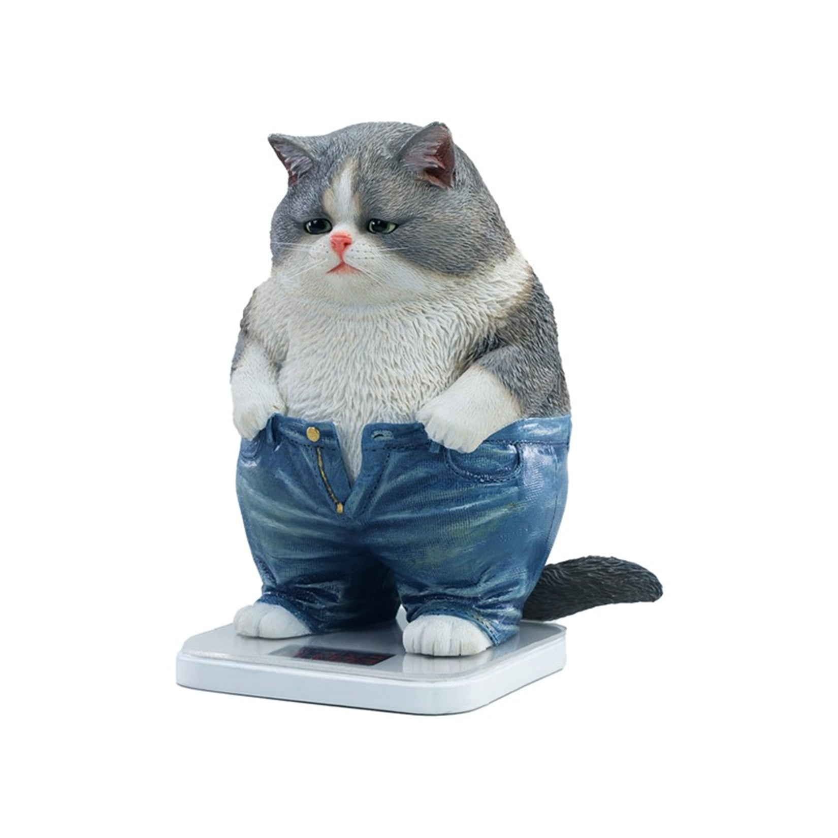 JXK Chubby Pants Cat Model