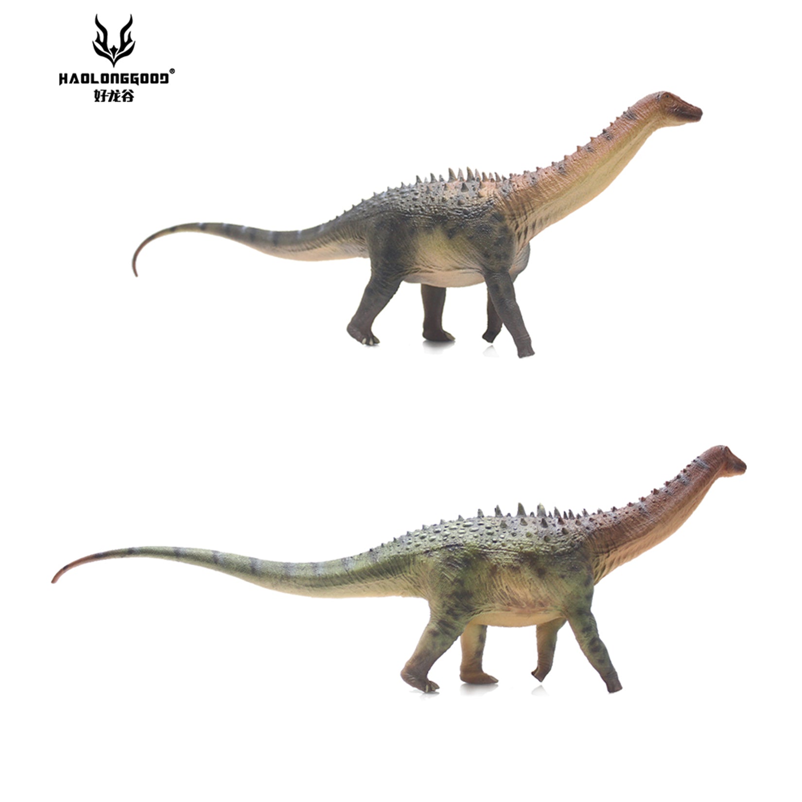 HAOLONGGOOD 1:35 Scale Ampelosaurus Model