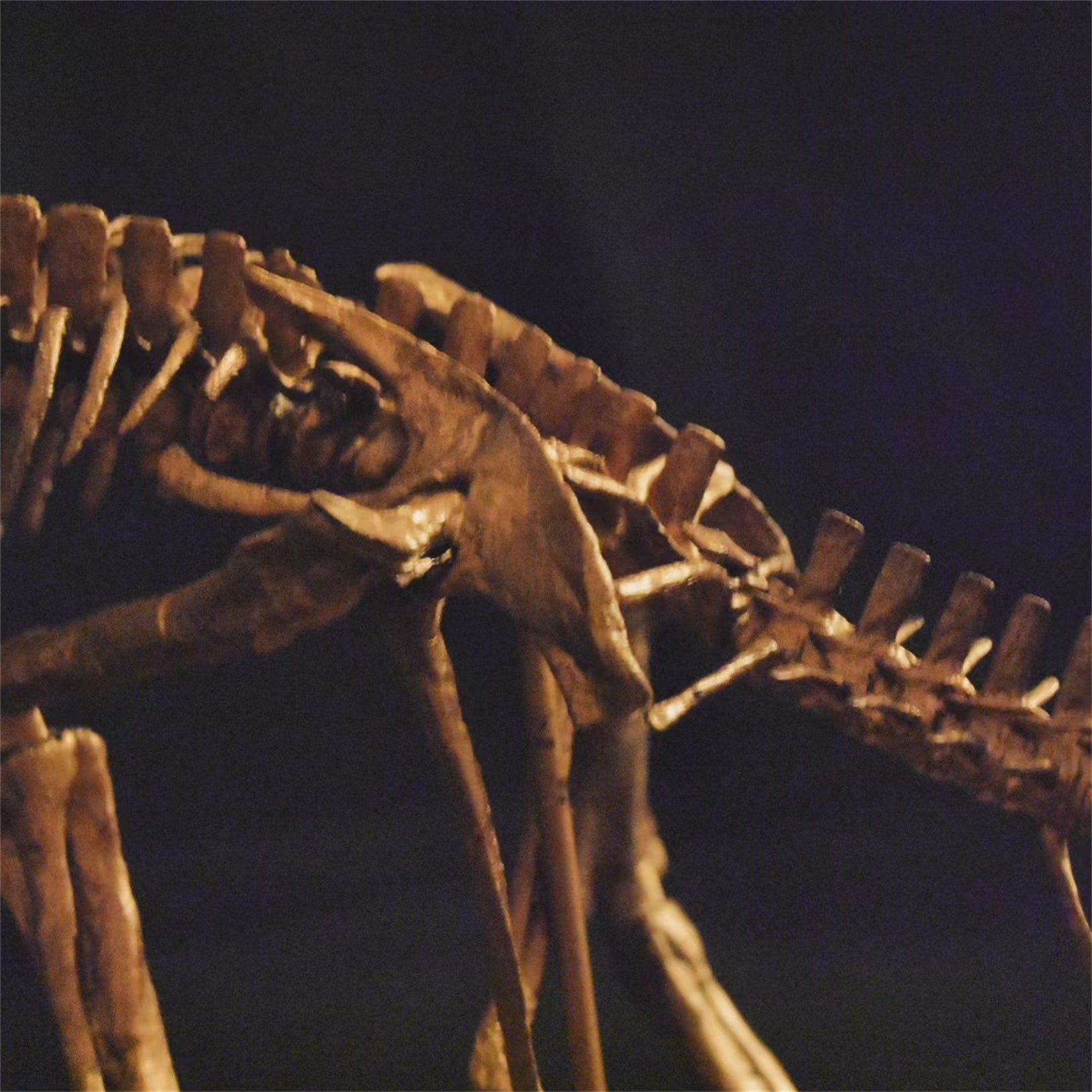Nova Studio 1/8 Scale Pachycephalosaurus wyomingensis Skeleton Model