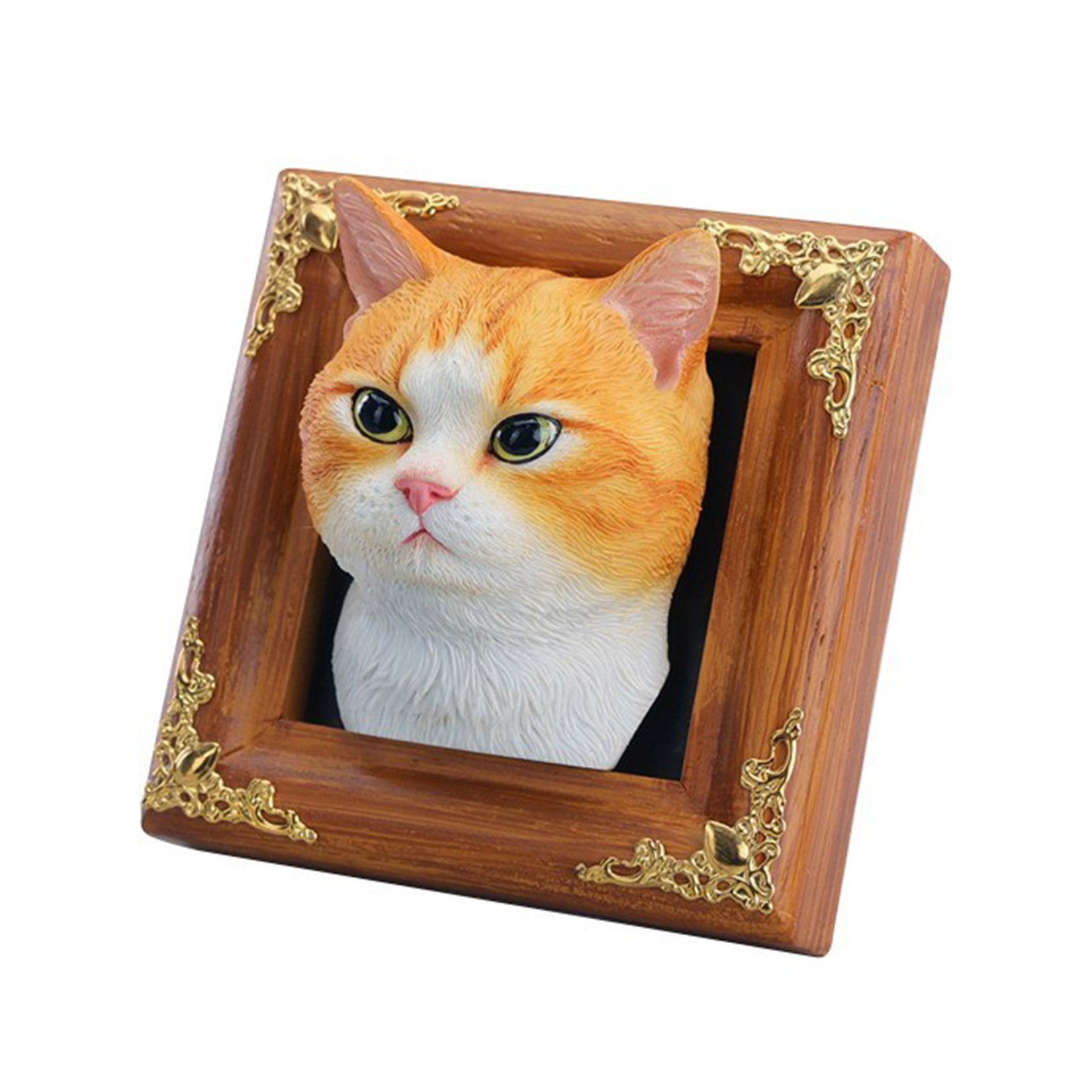 JXK Studio Gentle-eyed Country Cat Model