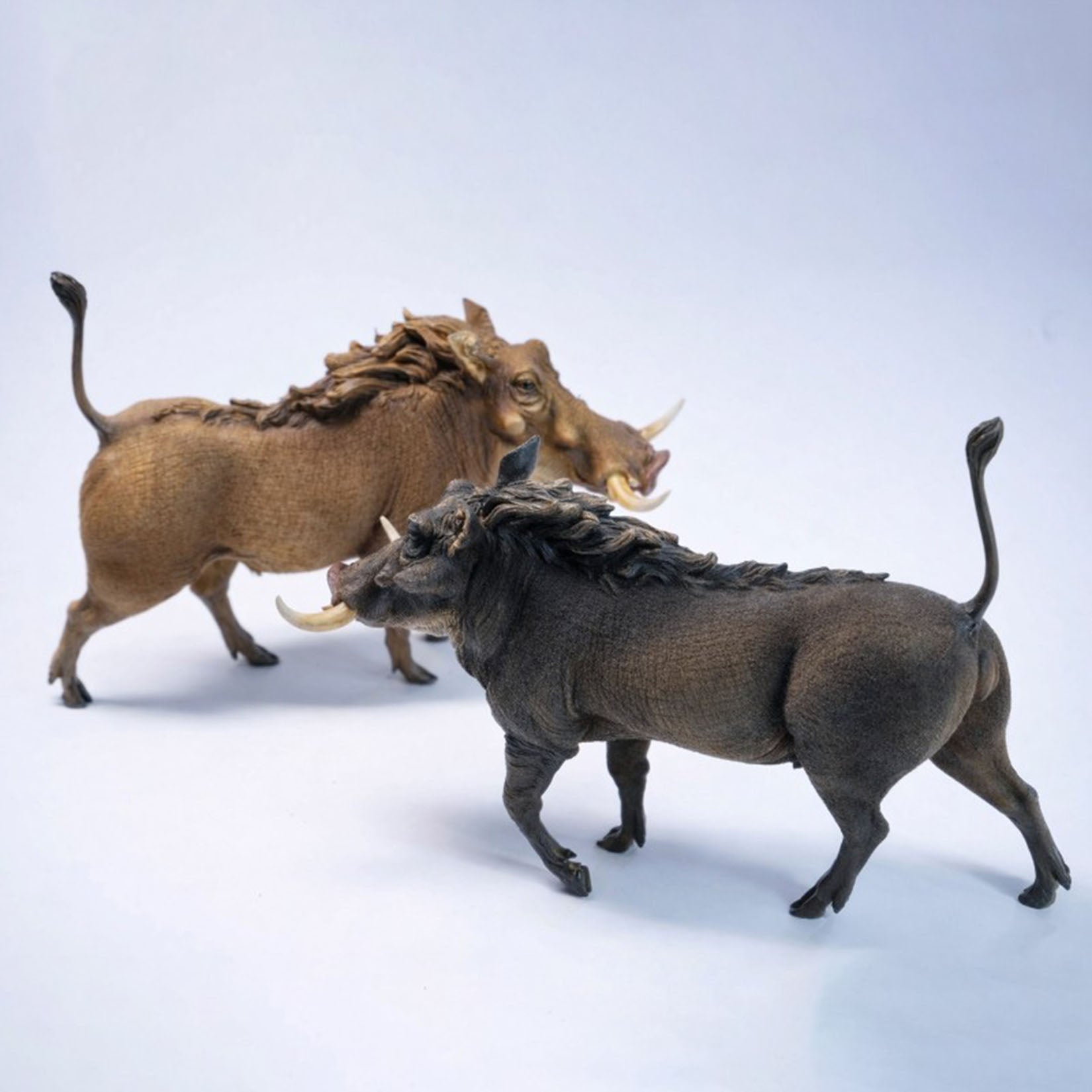 JXK Studio Warthog Animal Model