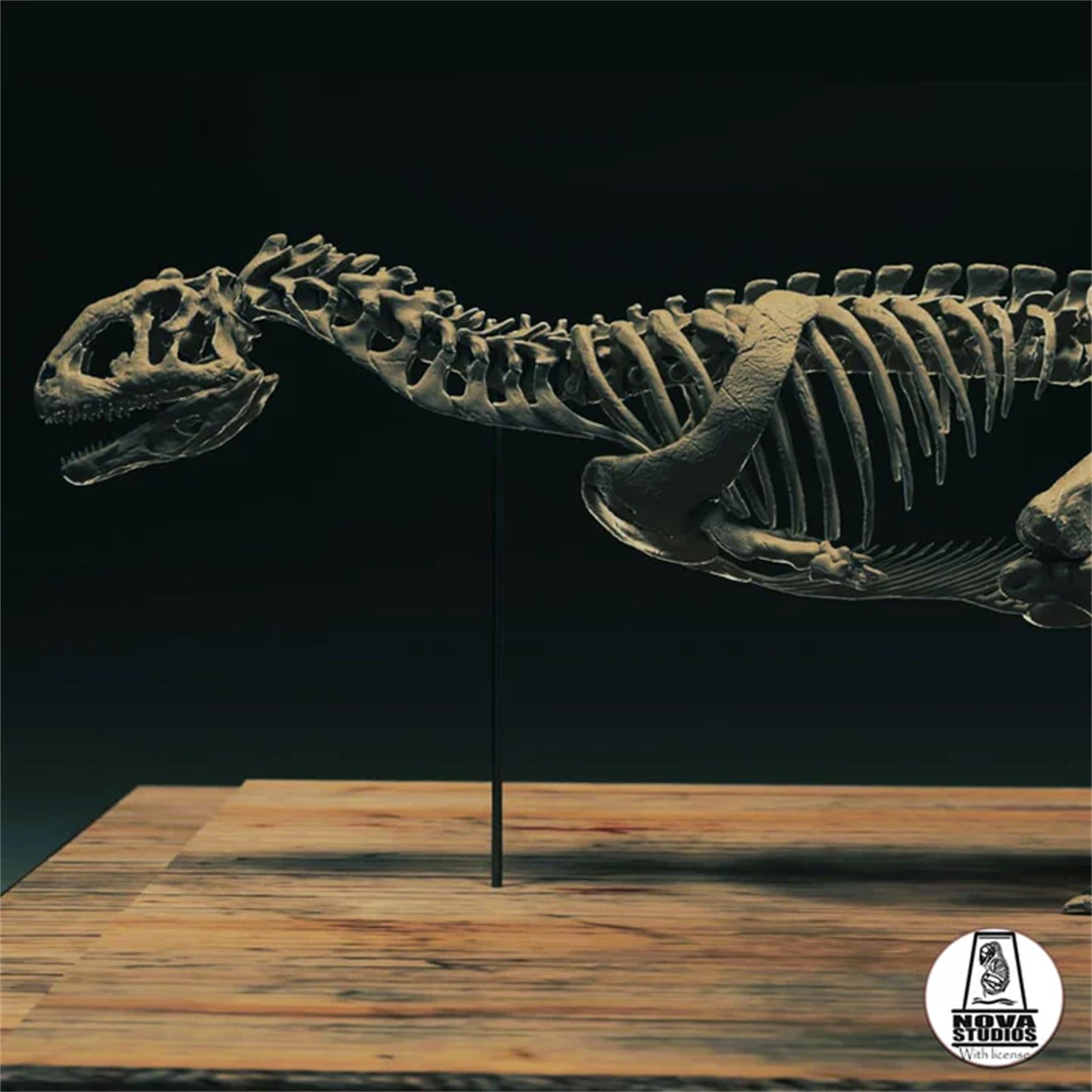 Nova Studio 1/6 Scale Majungasaurus crenatissimus keleton Model