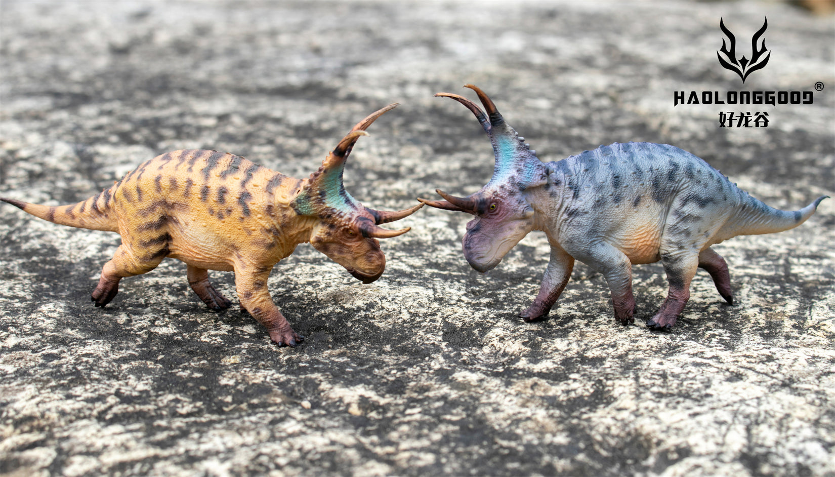 HAOLONGGOOD 1:35 Scale Diabloceratops Model