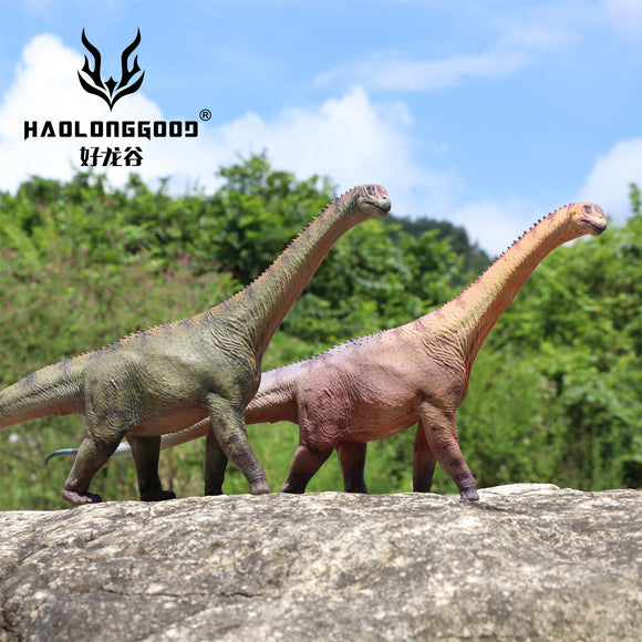 HAOLONGGOOD 1:35 Scale Camarasaurus Model