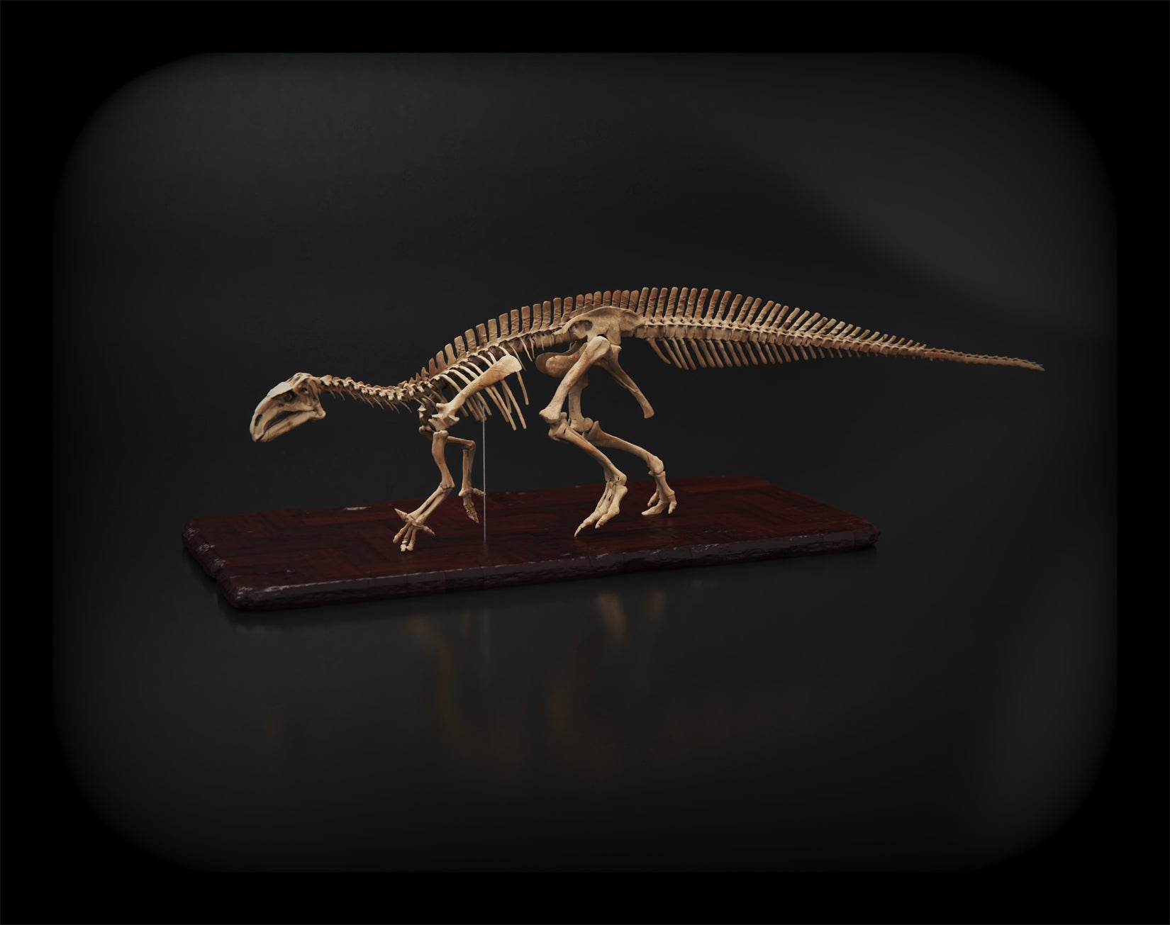 Nova Studio 1/10 Scale Iguanodon bernissartensis Keleton Model