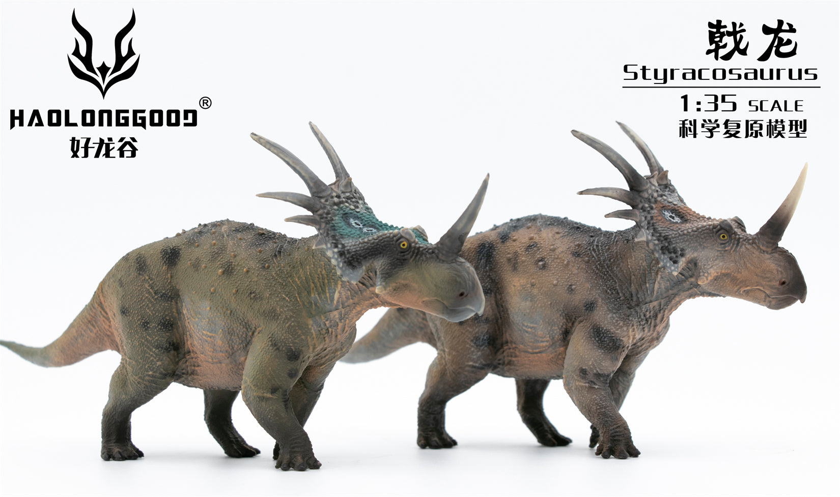 HAOLONGGOOD 1:35 Scale Styracosaurus Model
