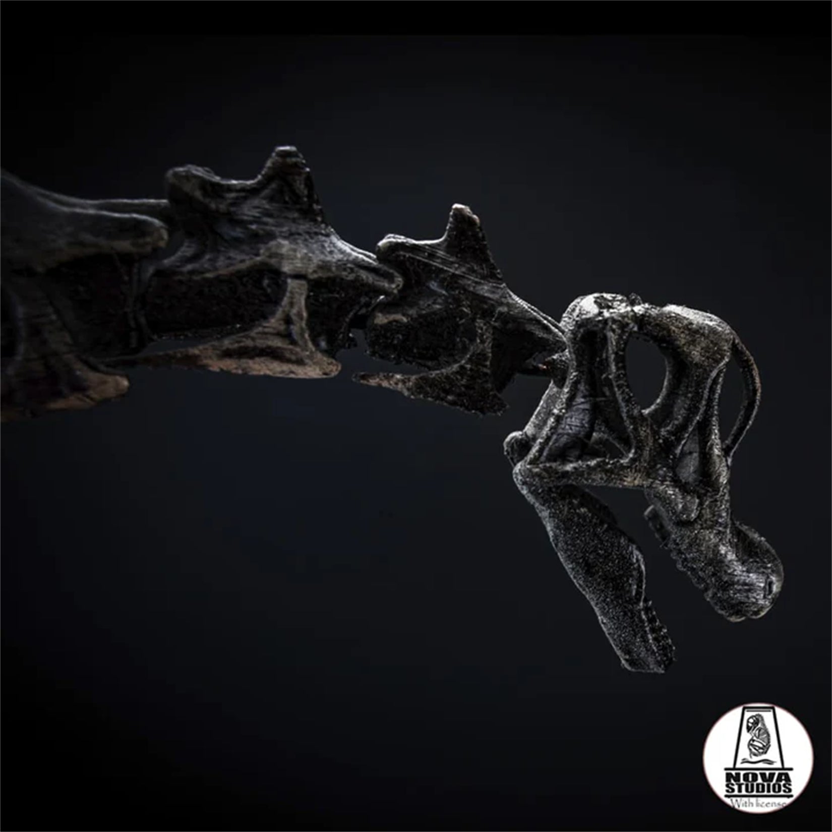 Nova Studio 1/18 Scale Giraffatitan brancai Keleton Model