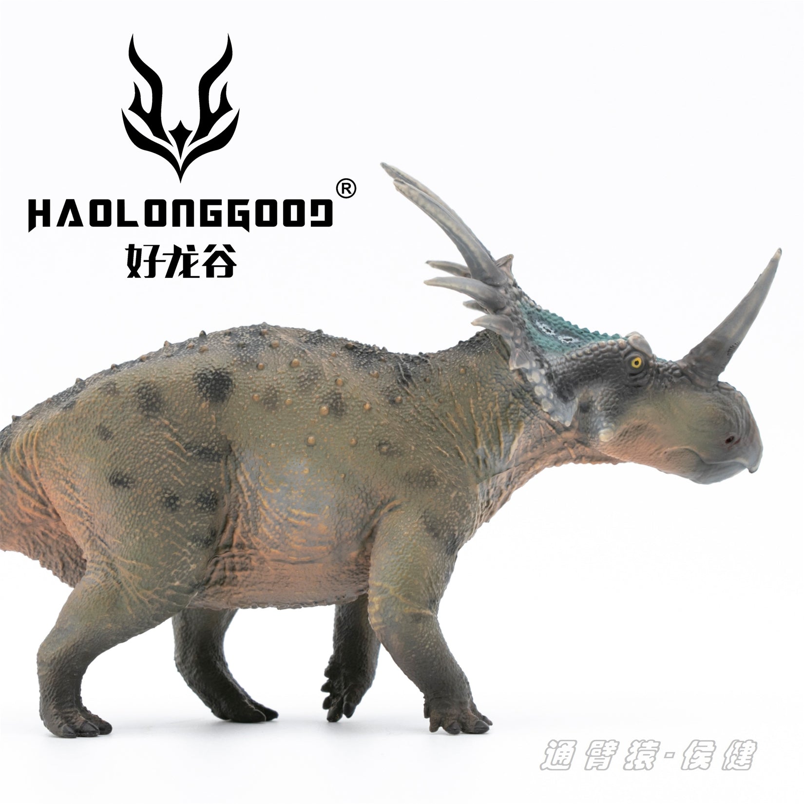 HAOLONGGOOD 1:35 Scale Styracosaurus Model