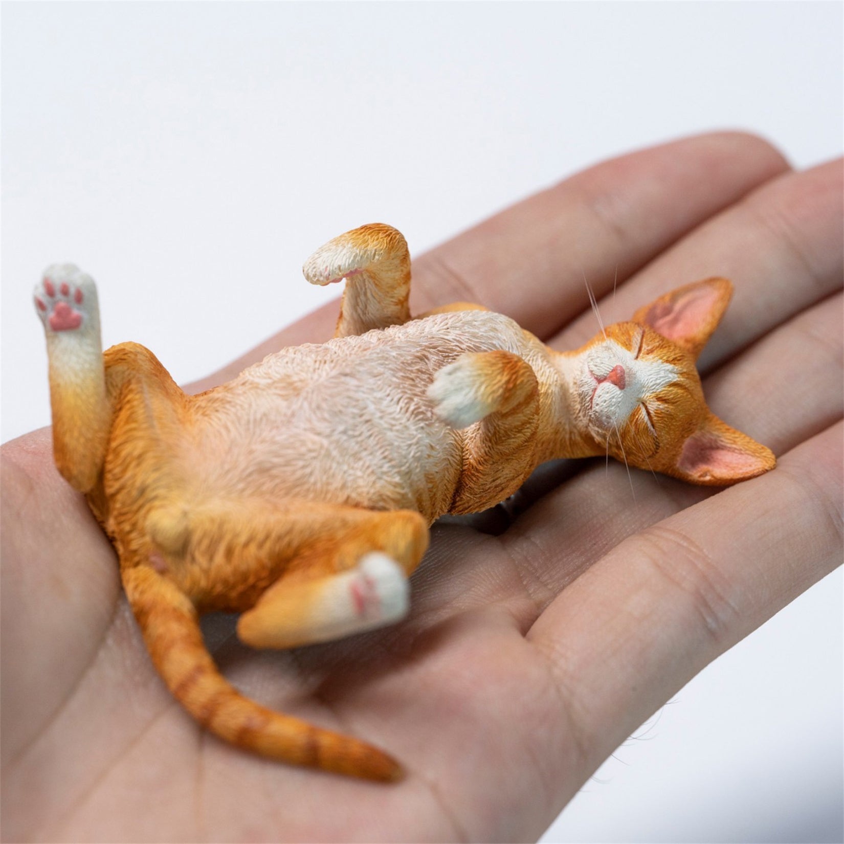 JXK Studio Resting Little Devon Rex Model