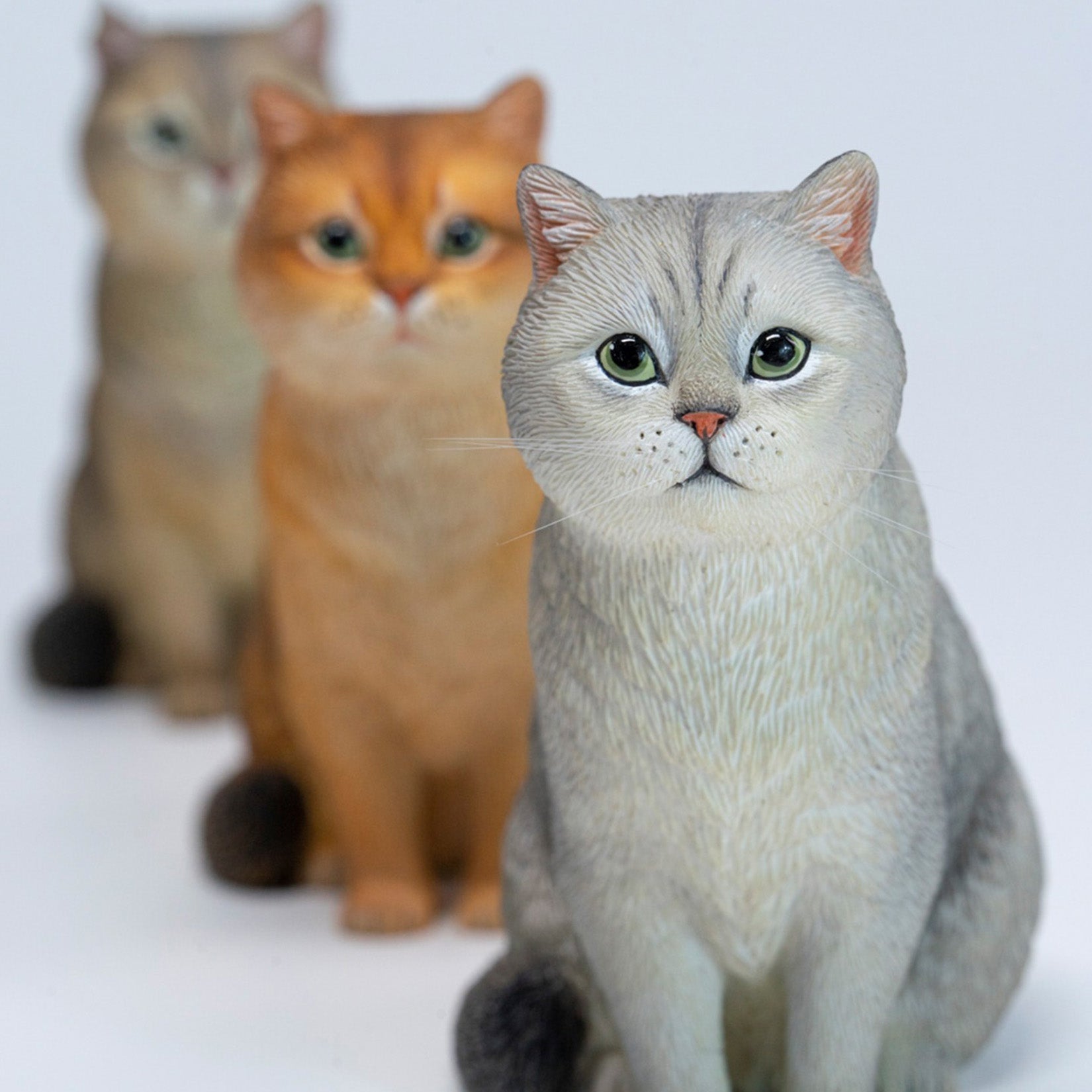JXK Studio British Shorthair Cat Model