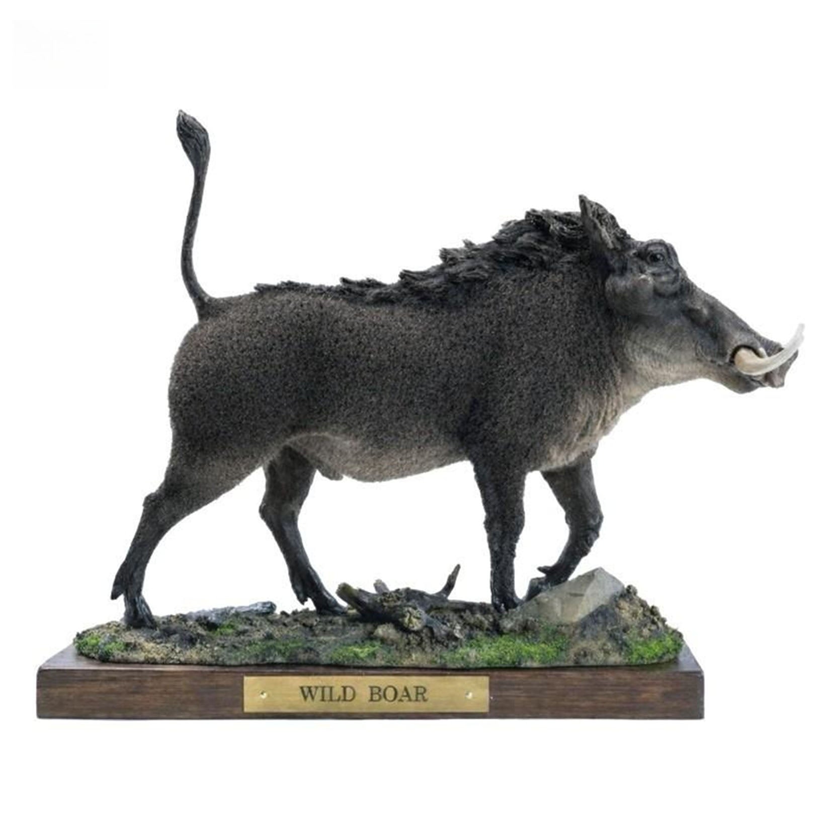 JXK Studio Warthog Animal Model
