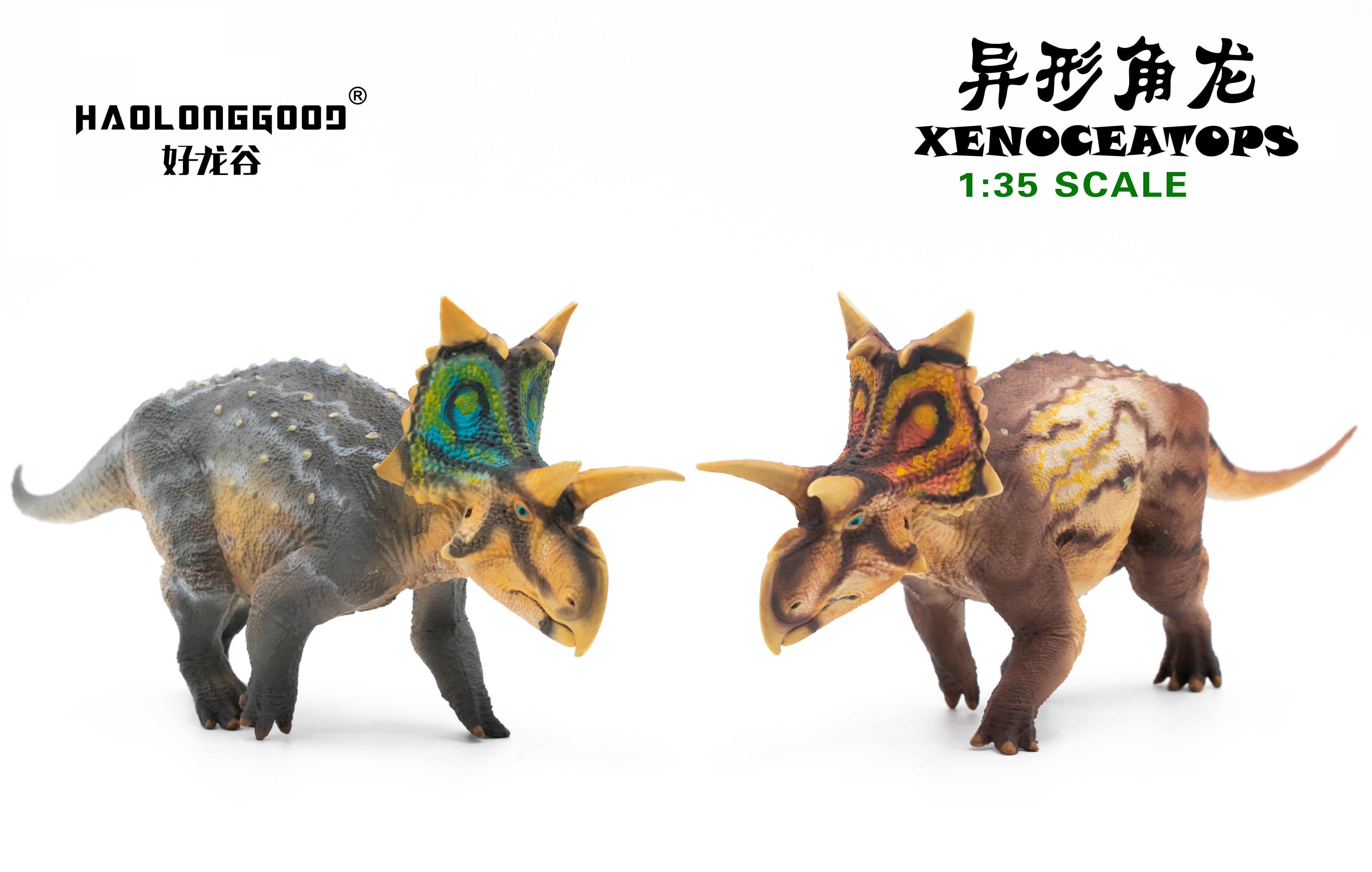 HAOLONGGOOD 1:35 Scale Xenoceratops Model