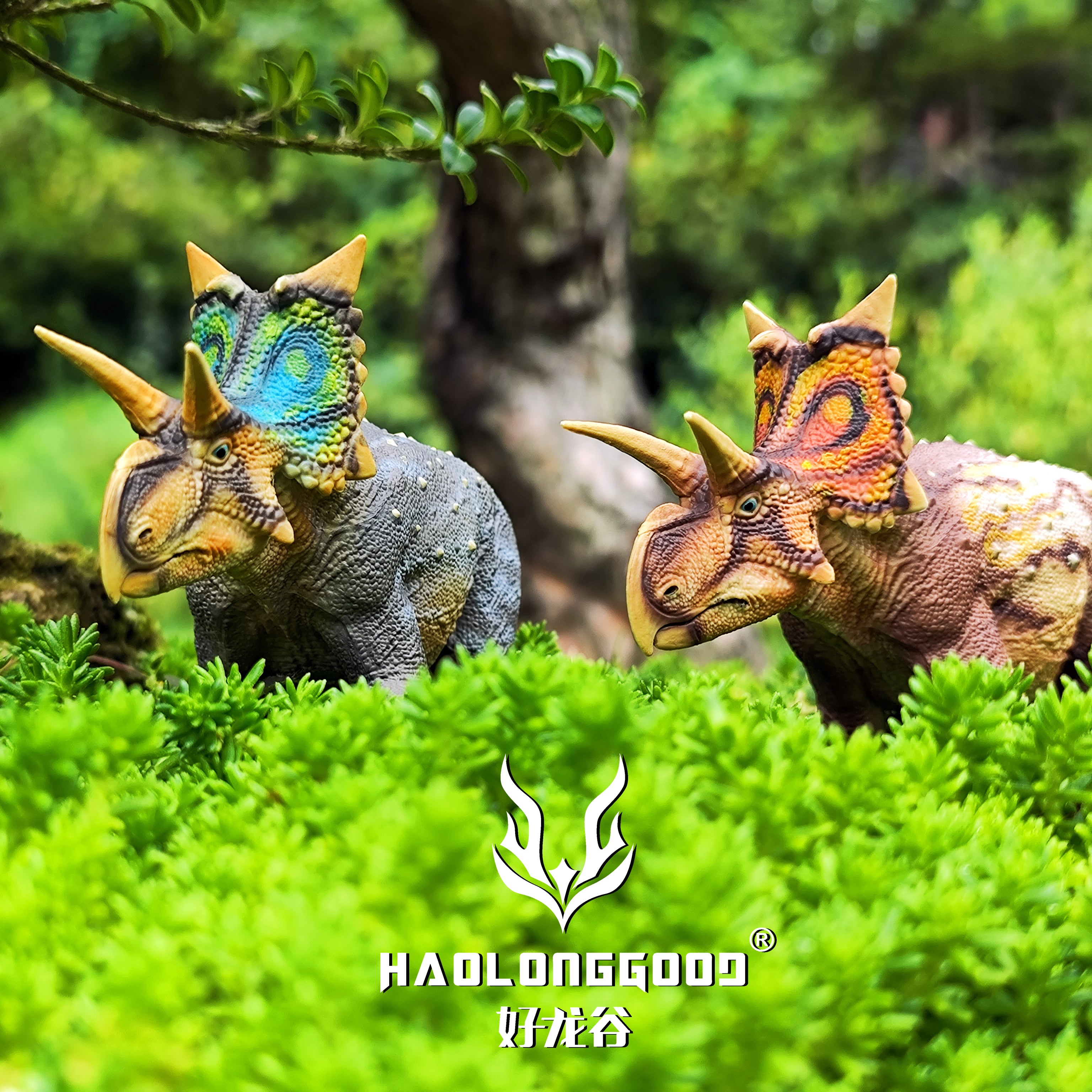 HAOLONGGOOD 1:35 Scale Xenoceratops Model
