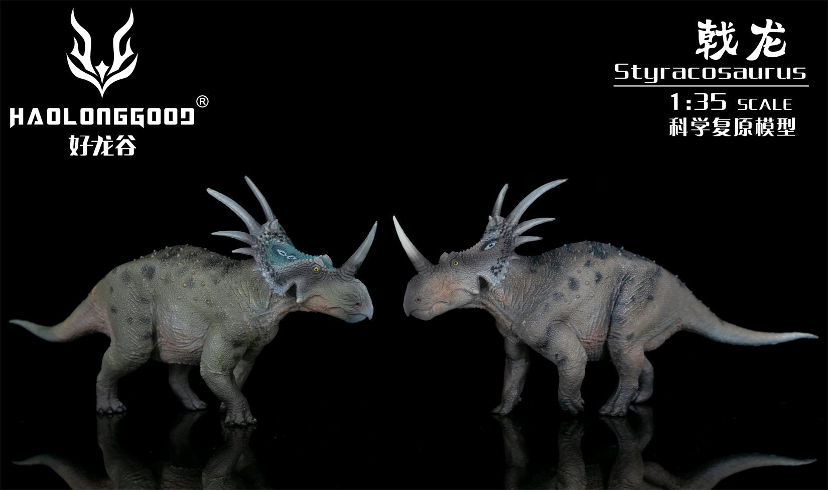 HAOLONGGOOD 1:35 Scale Styracosaurus Model