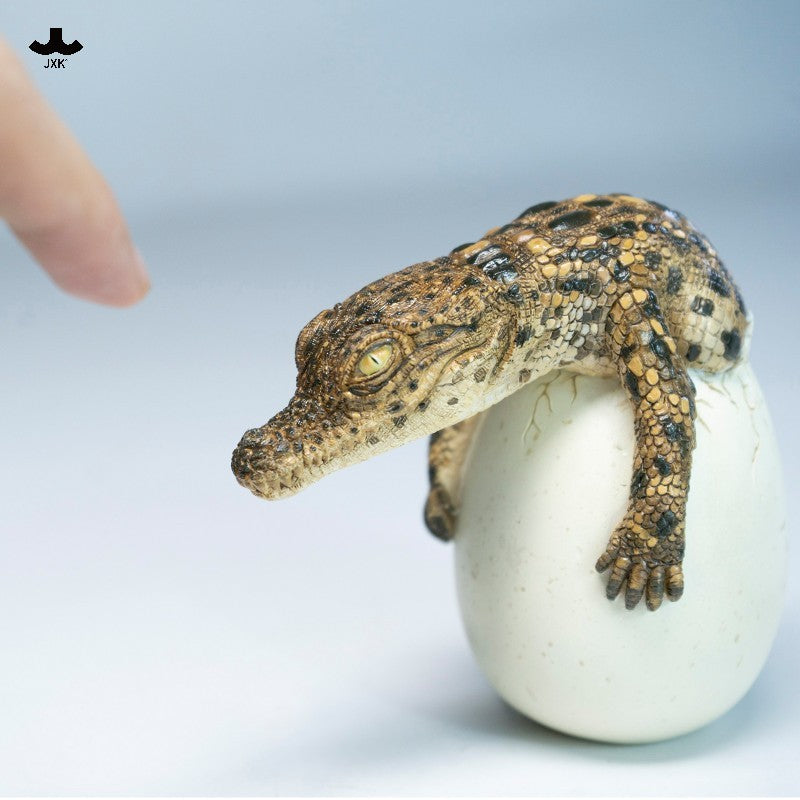 JXK Hatchling Crocodile Model