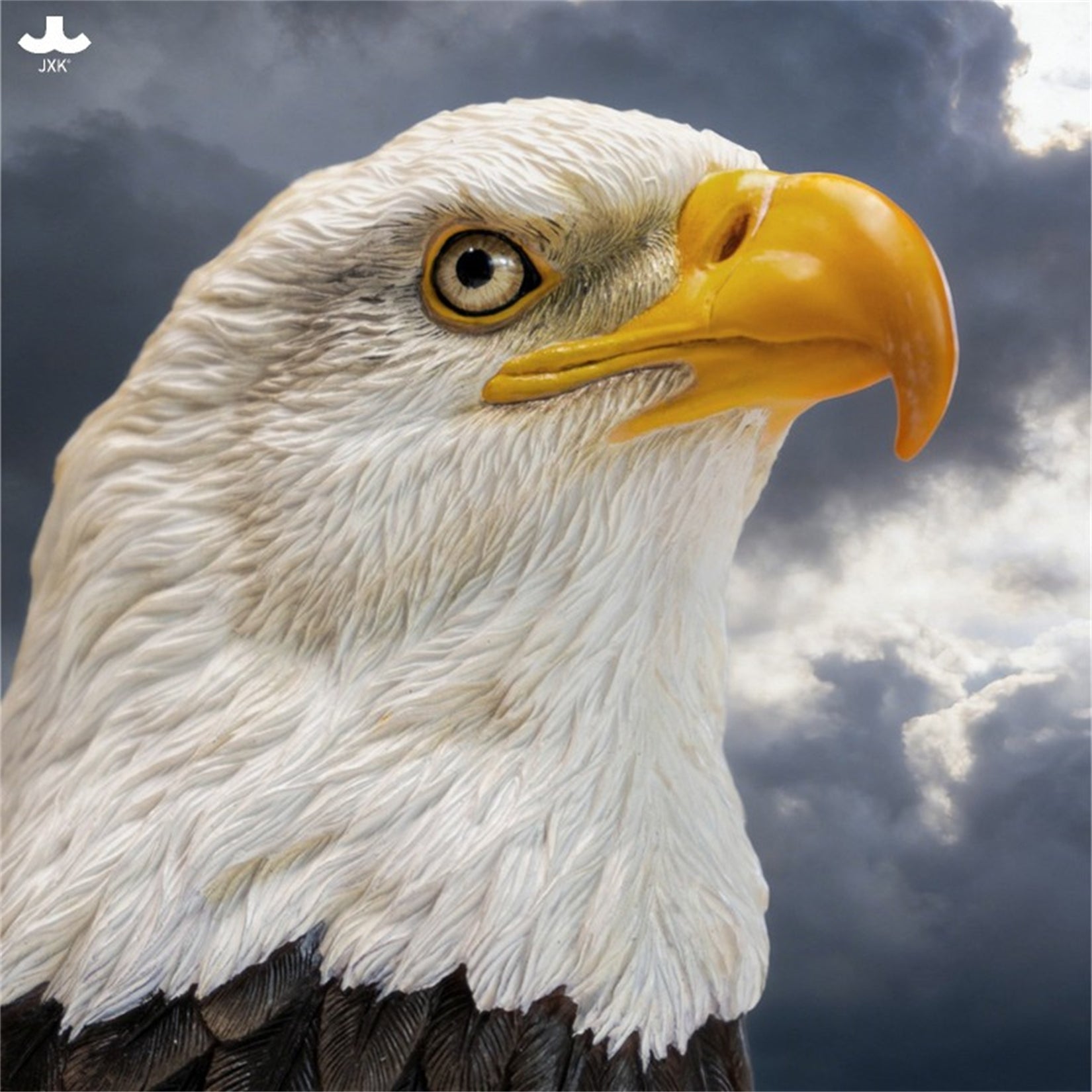 JXK Eagle Head  Statue Model