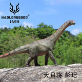 HAOLONGGOOD 1:35 Scale Camarasaurus Model