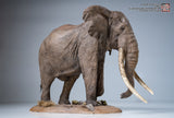 De CLAY Studio African Bush Elephant Scene Statue