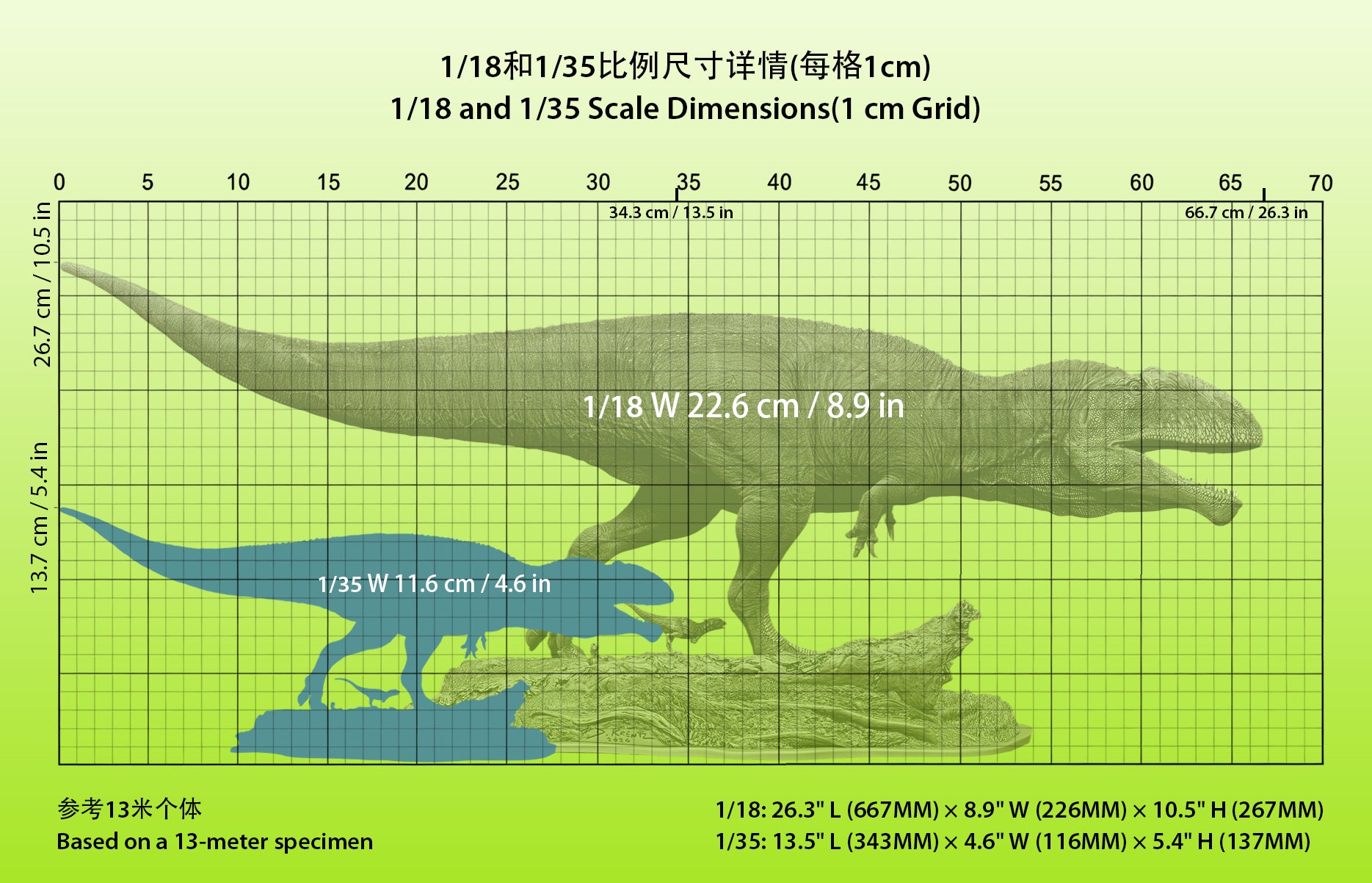 Anningpale Giganotosaurus carolinii Scene Model