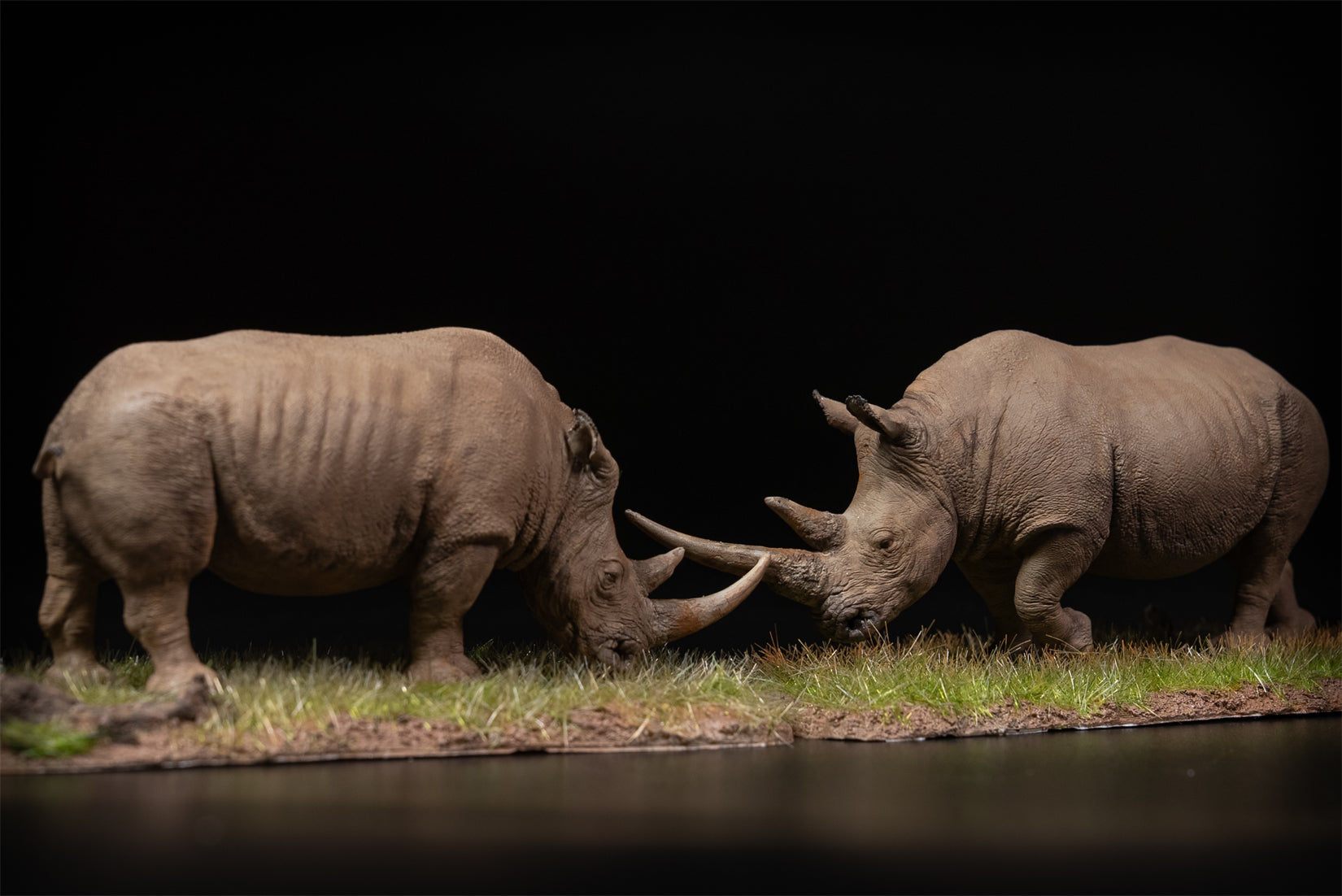 De CLAY Studio 1/35 Scale White rhinoceros battling bulls Model