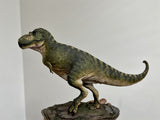 Sumeru Studio 1/35 Scale Tyrannosaurus Rex "Reg" Model