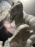 SHOWANNA 1:15 Scale Tyrannosaurus Rex VS Ankylosaurus SCENE STATUE